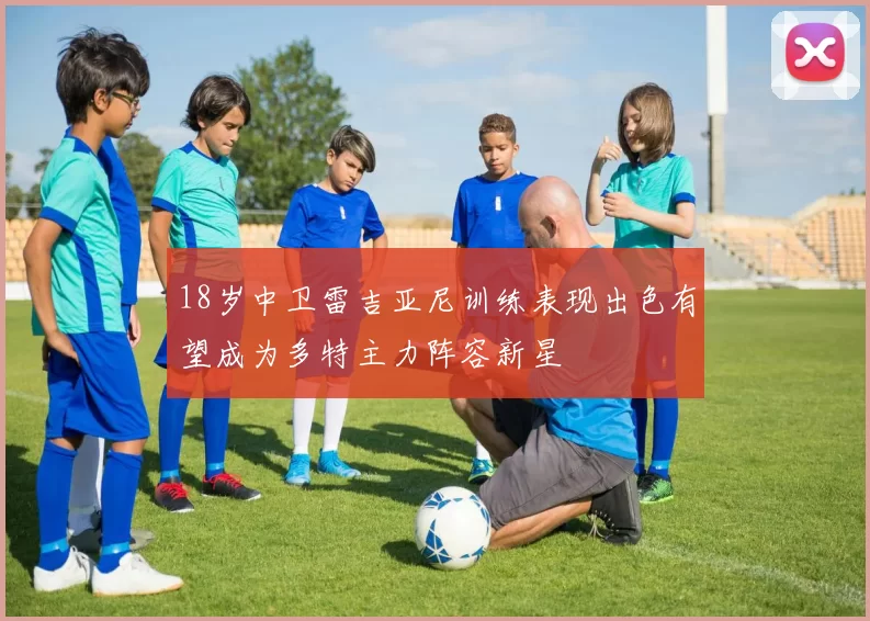18岁中卫雷吉亚尼训练表现出色有望成为多特主力阵容新星
