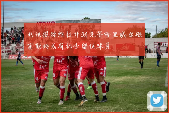 电讯报称维拉计划免签哈里威尔逊富勒姆或有机会留住球员